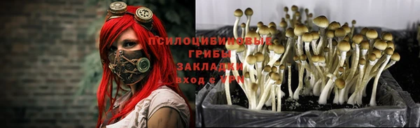 прущая мука Арсеньев