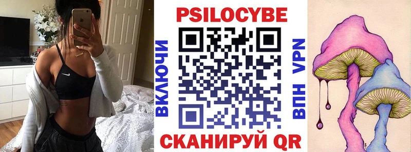 продажа наркотиков  Кашин  Галлюциногенные грибы MAGIC MUSHROOMS 